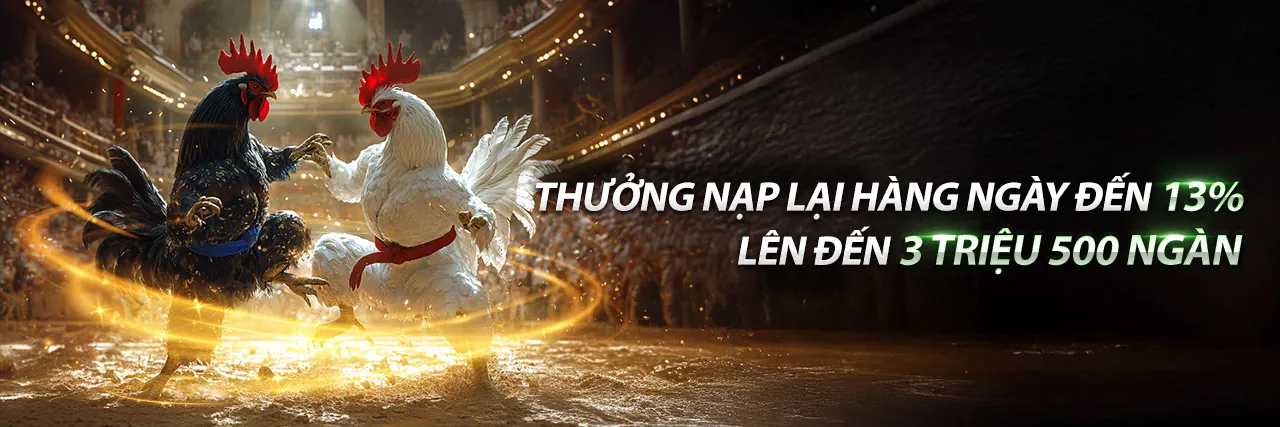 Sân đấu đá gà kịch tính tại 89vin